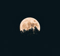 MANE 130 BPM DMINOR