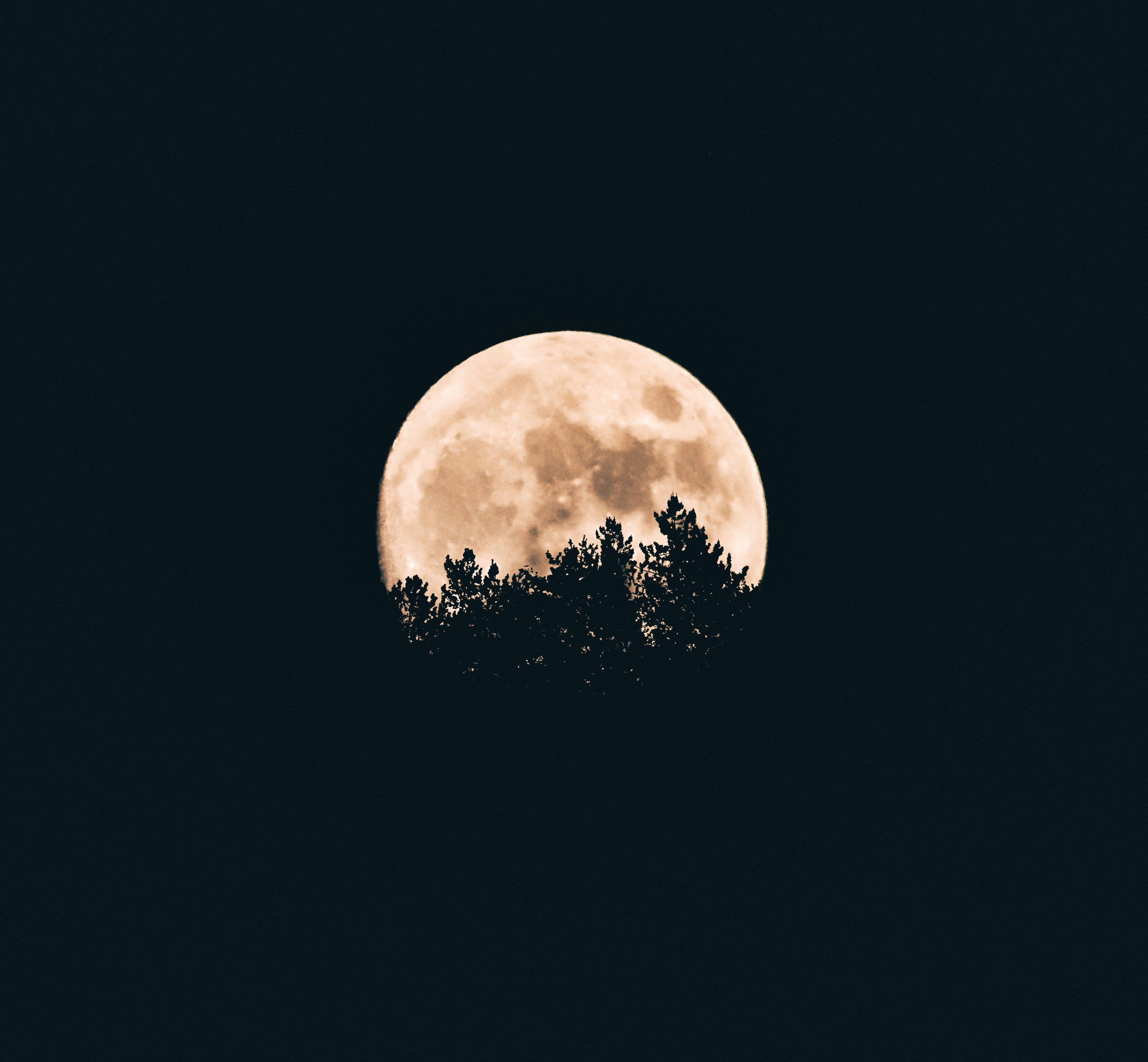 MANE 130 BPM DMINOR